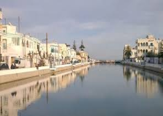 Villa avec piscine à Kheireddine